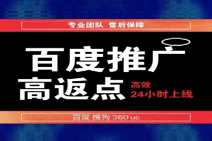 百度竞价赚钱的技巧与成功案例探讨